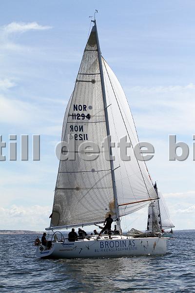 ORCi2 614.jpg